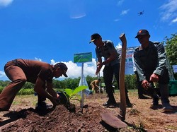 Rawan Banjir dan Longsor, Forkopimda Banyuwangi Ajak Gerakan Tanam Pohon