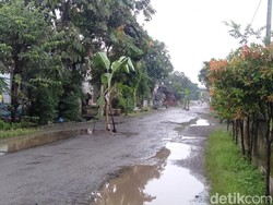 Lagi, Warga Blitar Tanam Pohon Pisang Protes Jalan Rusak Tak Diperbaiki