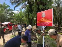 Usut Korupsi Alih Fungsi Hutan, Kejati Sita 105 Hektare Tanah di Langkat