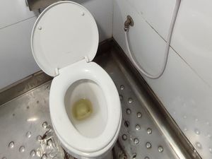 Cara Membersihkan Lubang WC Berkerak, Bisa Pakai 3 Bahan Saja!