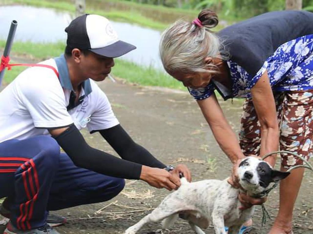 Legian Bikin Hukum Adat Tekan Kasus Rabies Anjing