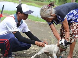 Mimih! 90 Desa di Buleleng Masuk Zona Merah Rabies Mimih! 90 Desa di Buleleng Masuk Zona Merah Rabies