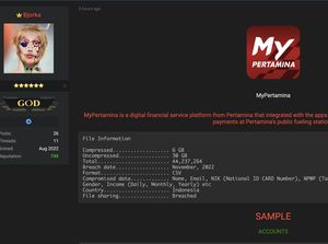 Kebocoran Data MyPertamina oleh Bjorka, Pakar: Sudah Saatnya Dibentuk Lembaga PDP Kebocoran Data MyPertamina oleh Bjorka, Pakar: Sudah Saatnya Dibentuk Lembaga PDP