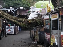 Dahan Pohon Patah Timpa 4 Kios di Food Center Alun-alun Kota Batu