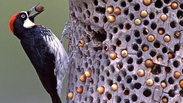 Awas Foto Ini Bisa Bikin Bergidik