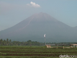 Kondisi Terkini Gunung Semeru usai Muntahkan Lava Pijar