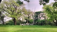 Lapangan Golf Tertua di Surabaya dan Misteri Makam Tua di Hole 18