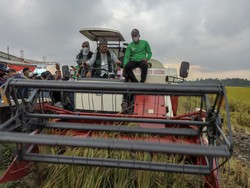 Mentan Dukung Petani Blitar Manfaatkan Rumput Jadi Pupuk