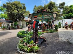 Melihat Aksi Memukau Musisi Keraton Jogja Peringati Hari Pahlawan