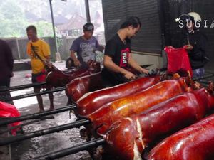 Penjual Babi Guling Viral di Bali Hingga Warung Makan Diramaikan Komunitas Motor Penjual Babi Guling Viral di Bali Hingga Warung Makan Diramaikan Komunitas Motor