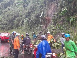 Pohon Tumbang di Cadas Pangeran, Lalu Lintas Sempat Terganggu