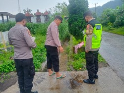 Jatuh ke Got-Hanyut, Siswa SD Ditemukan Tewas di Danau Buyan