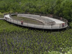 5 Fakta Tahura Ngurah Rai yang Dikunjungi Jokowi dan Delegasi G20