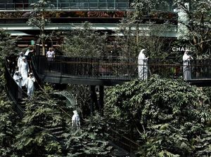 Qatar Pamer Taman Tropis di Bandara Internasional Hamad Jelang Piala Dunia