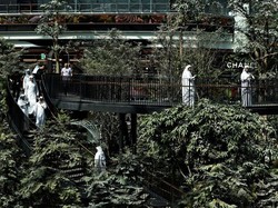 Qatar Pamer Taman Tropis di Bandara Internasional Hamad Jelang Piala Dunia