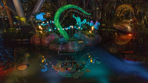 Seru dan Instagenik, Begini Festival Avatar 2 di Bandara Changi