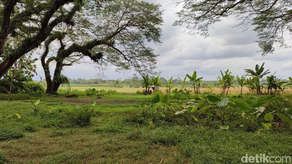 Sisi Lain de-djawatan yang Magis, Ternyata...