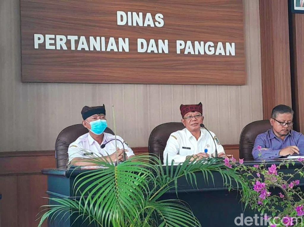 Pemkab Banyuwangi Minta Petani Tak Risau Terkait Ketersediaan Pupuk Subsidi Pemkab Banyuwangi Minta Petani Tak Risau Terkait Ketersediaan Pupuk Subsidi