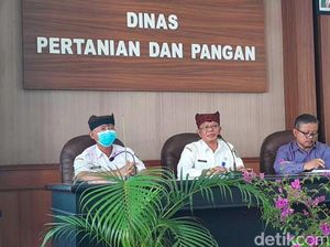 Pemkab Banyuwangi Minta Petani Tak Risau Terkait Ketersediaan Pupuk Subsidi Pemkab Banyuwangi Minta Petani Tak Risau Terkait Ketersediaan Pupuk Subsidi