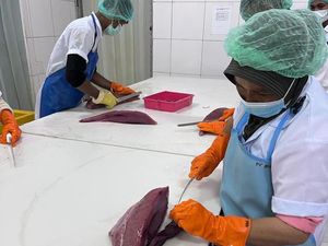 KKP Beri Kado ke Pengusaha Ikan, Hapus Tarif Ekspor Tuna-Cakalang ke Jepang