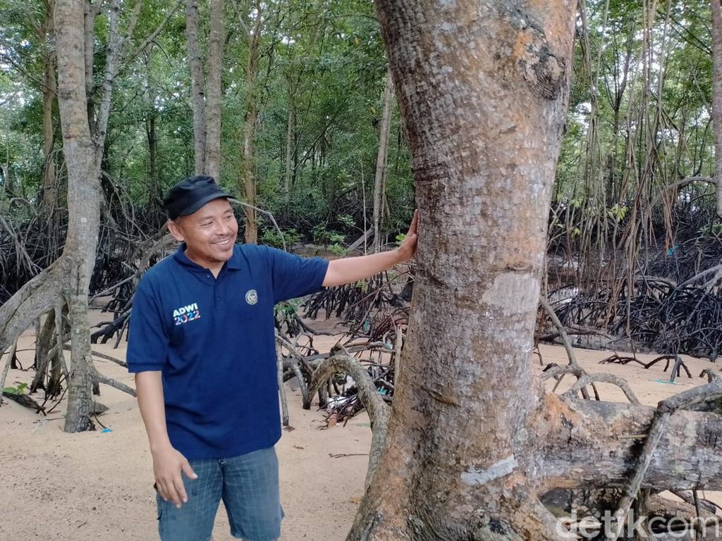 Kisah Gerry Jaga Hutan Mangrove Lewat Ekowisata Pandang Tak Jemu Kisah Gerry Jaga Hutan Mangrove Lewat Ekowisata Pandang Tak Jemu