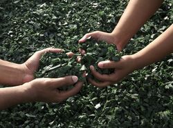 Program Dana Padanan 2024 Batch 2 Dikti Dibuka, Pendanaan hingga Rp 750 M