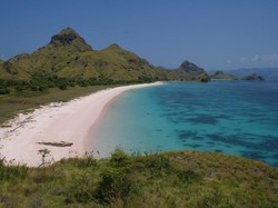 Pencarian Turis China Hilang di TN Komodo Terkendala Arus Laut