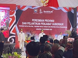 Profil 3 Pj Gubernur Provinsi Baru di Papua yang Resmi Dilantik