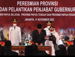 Papua Punya 4 Provinsi Baru di Era Mendagri Tito Karnavian