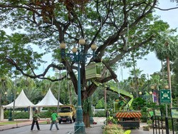 Pemprov DKI Cek Tingkat Keropos Pohon di Balai Kota, Begini Hasilnya