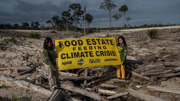 A giant banner reading “Food Estate Feeding Climate Crisis” is unfurled in forestland cleared for the Ministry of Defence's Food Estate project in Gunung Mas, Central Kalimantan on 10 November 2022. The activists from Greenpeace Indonesia, LBH Palangkaraya, Save Our Borneo and WALHI Central Kalimantan are sending a message during the COP 27 climate meeting in Sharm el-Sheikh, Egypt: that in the midst of a climate crisis causing food insecurity, the Indonesian government’s Food Estate project will only worsen both food and climate crises