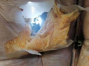 Ngeri! Pesawat Penumpang Kena Peluru Nyasar Saat Mendarat di Beirut