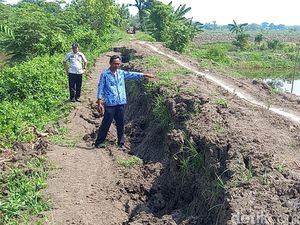 Tanggul Anak Sungai Bengawan Solo di Lamongan Longsor Digerus Hujan Deras