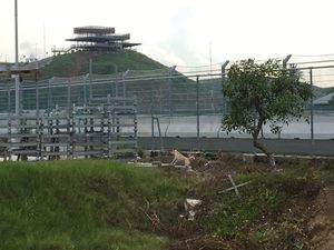 Anjing Liar Masih Berkeliaran saat WSBK di Mandalika Anjing Liar Masih Berkeliaran saat WSBK di Mandalika