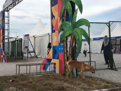 Anjing Liar Berkeliaran di Area Sirkuit Mandalika saat WSBK 2022