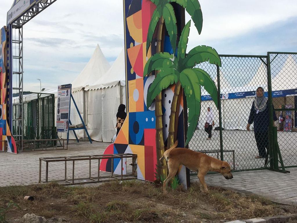 Anjing Liar Berkeliaran di Area Sirkuit Mandalika saat WSBK 2022