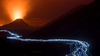 Karya Jawara Kontes Foto Alam Liar Eropa yang Memukau Mata