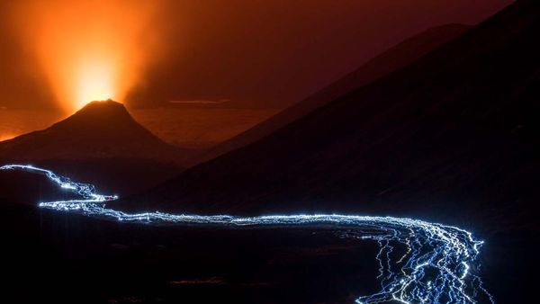 Karya Jawara Kontes Foto Alam Liar Eropa yang Memukau Mata