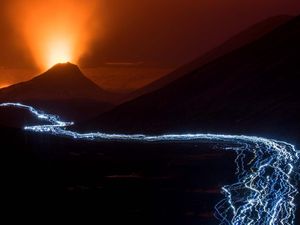 Karya Jawara Kontes Foto Alam Liar Eropa yang Memukau Mata