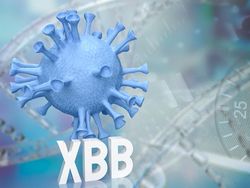 Subvarian XBB dan BQ.1 Dominasi Kasus COVID-19 di Indonesia