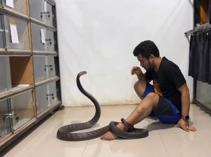 Sering Dikaitkan dengan Meninggalnya Eks Asisten, Panji Petualang Buka Suara