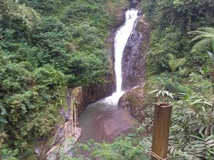 Air Terjun Campuhan Gitgit Jadi Dangkal, Wisatawan Ogah Datang Air Terjun Campuhan Gitgit Jadi Dangkal, Wisatawan Ogah Datang