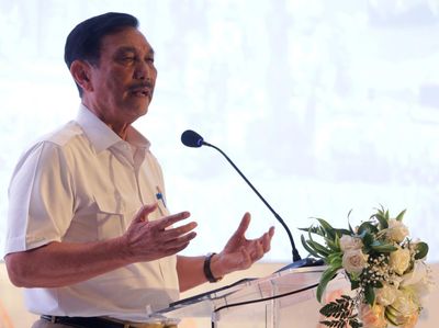 Momen Luhut Dorong Industri Fintech di Indonesia