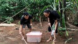 Wajib Tahu! Tips Jika Bertemu Ular dari Panji Petualang