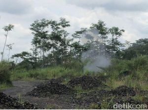 Buumm! 26 Granat Temuan Warga Blitar Berhasil Diledakkan Buumm! 26 Granat Temuan Warga Blitar Berhasil Diledakkan