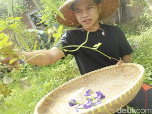 Ath-Thaariq, Pesantren Ekologi dari Garut yang Dilirik PBB Ath-Thaariq, Pesantren Ekologi dari Garut yang Dilirik PBB