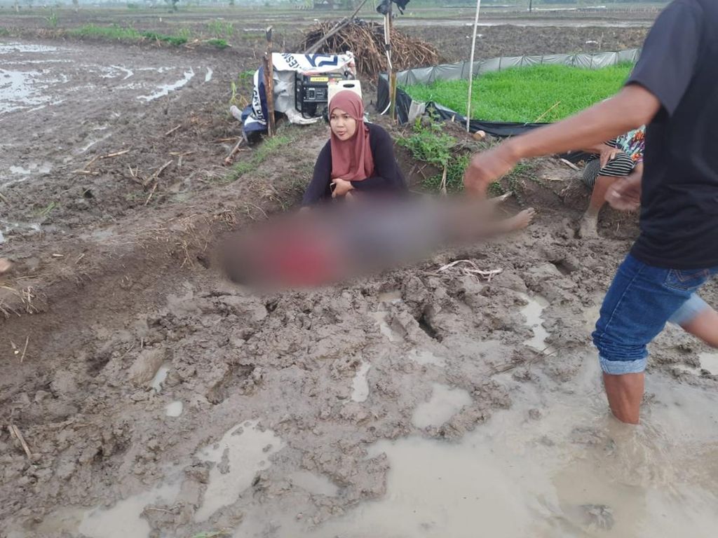 Petani di Lamongan Tewas Tersetrum Jebakan Tikus di Sawahnya Sendiri Petani di Lamongan Tewas Tersetrum Jebakan Tikus di Sawahnya Sendiri