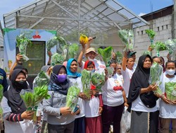 Relawan Ganjar Beri Bantuan Lahan untuk Puluhan Petani Kota di Jaktim