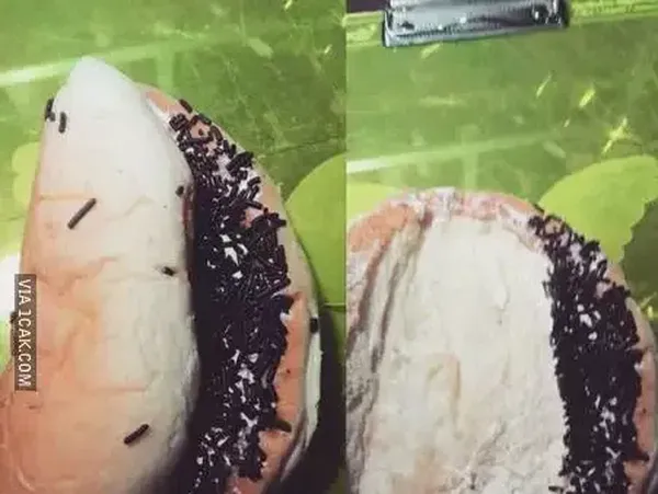 Tergoda dari Tampilan, 10 Roti Ini Ternyata Isinya Zonk