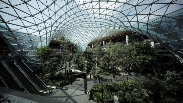 Jelang Piala Dunia, Ada Taman Tropis Baru di Bandara Qatar